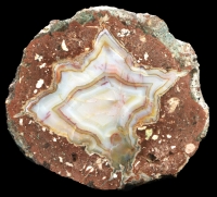 Unusual Pale Felsenschlag Thunderegg